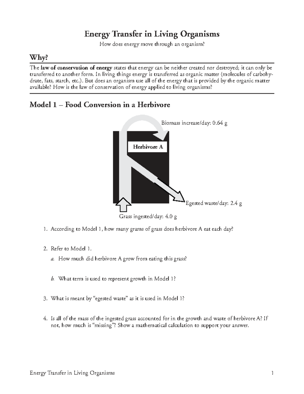 Energy Transfer in Living Organisms: Understanding Conservation Laws ...