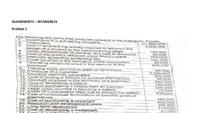 INT 101 Assignments on Intangibles: Asset Recognition & Amortization ...
