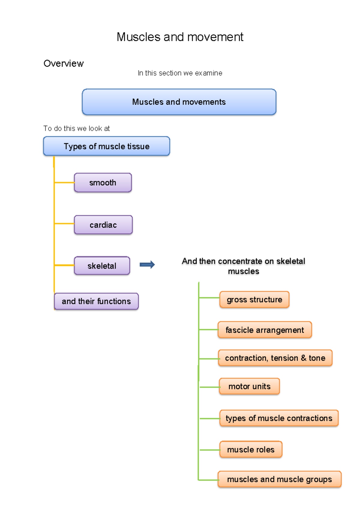 Muscles and Movements Readings and Checklist - Muscles and movement ...
