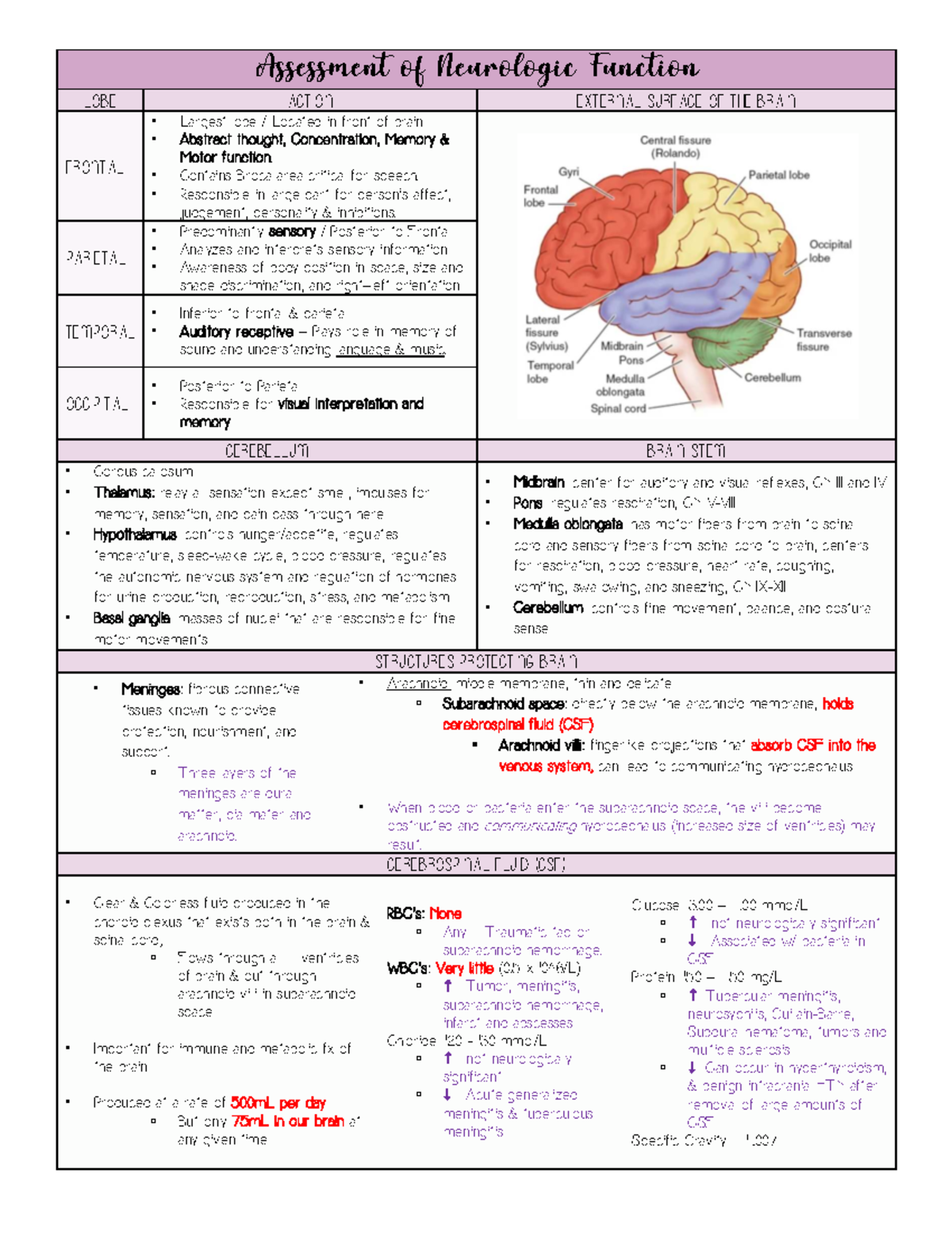 Exam 5 Study Guide - Neurologic Function & Assessment (NUR 101) - Studocu