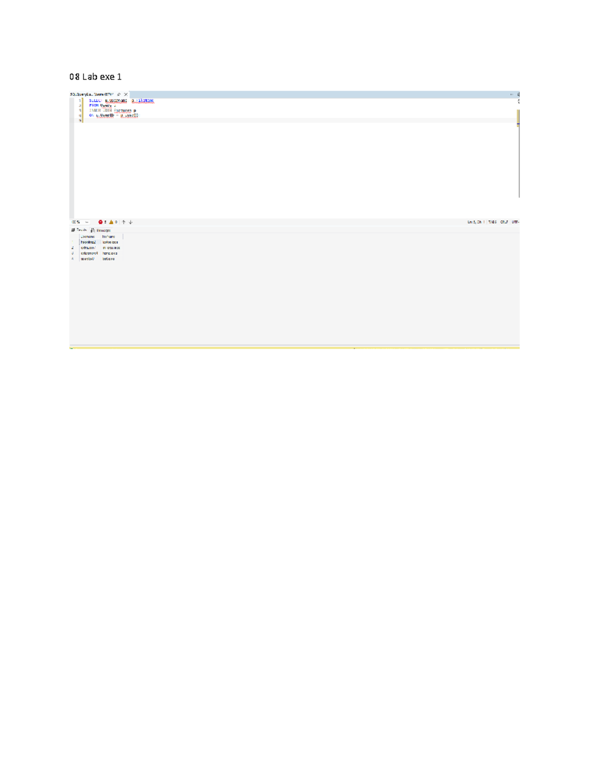 08 Lab Exe 1 - SQL Query Analysis and Results - Studocu