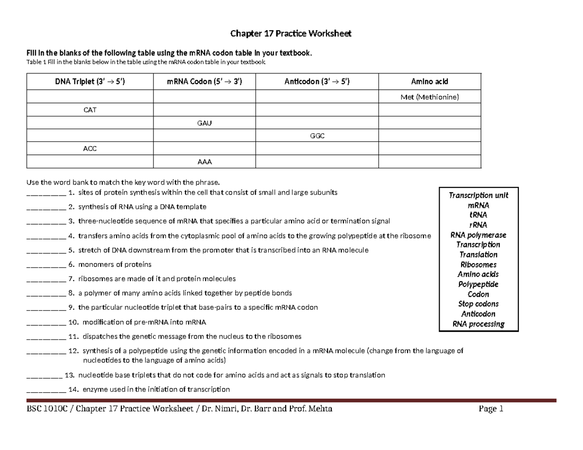 BSC 1010C Chapter 17 Genetics Practice Worksheet - Studocu