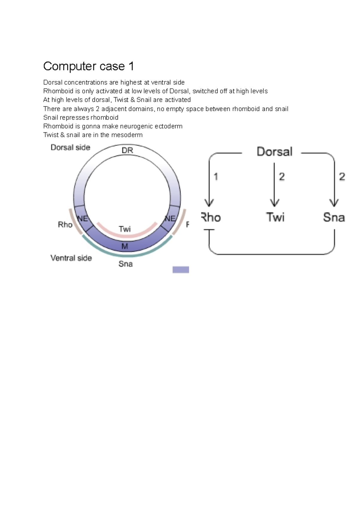 Development Mechanisms: Summary of Key Insights and Concepts - Studeersnel