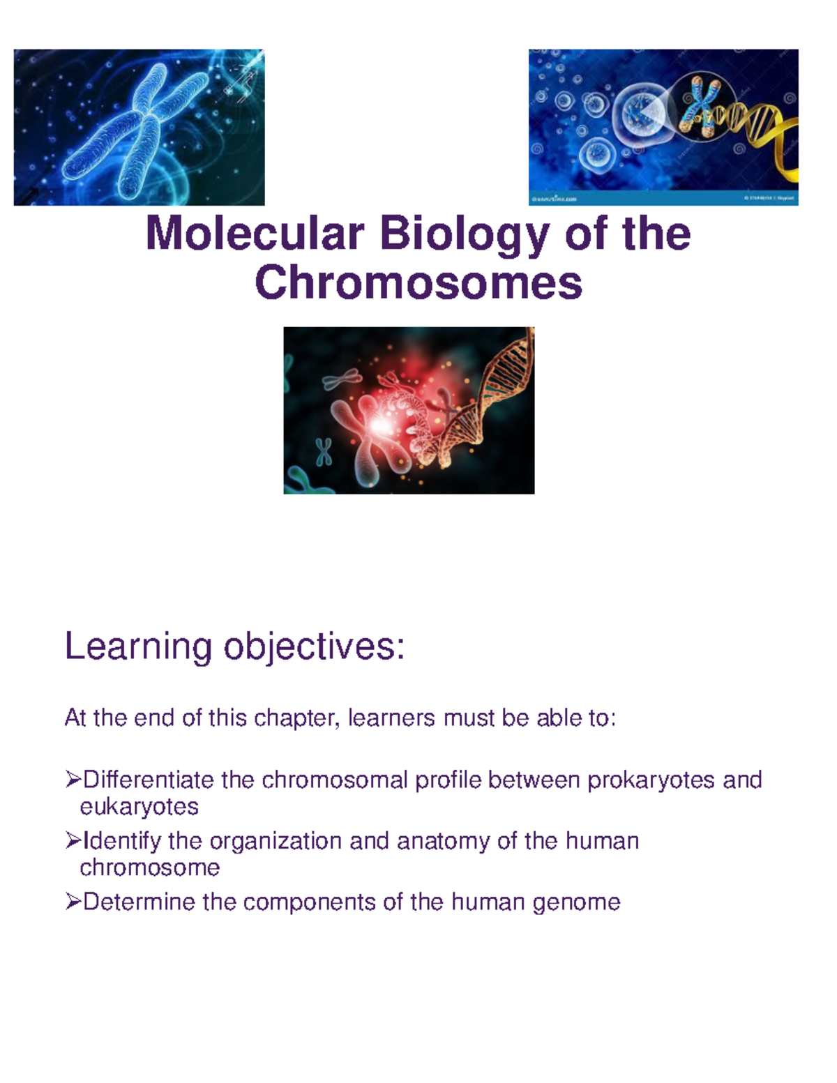 Chromosomes - Molecular Biology of the Chromosomes Learning objectives ...