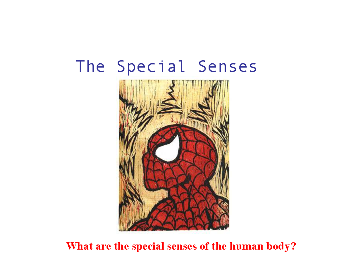 Inner ear: Anatomy and function of vestibule, semicircular canals, and ...