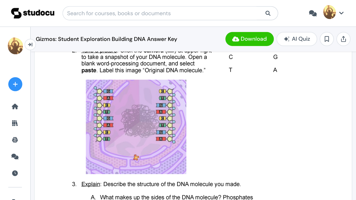 Gizmos Student Exploration Building DNA Answer Key Name Anthony Thumb 1200 674