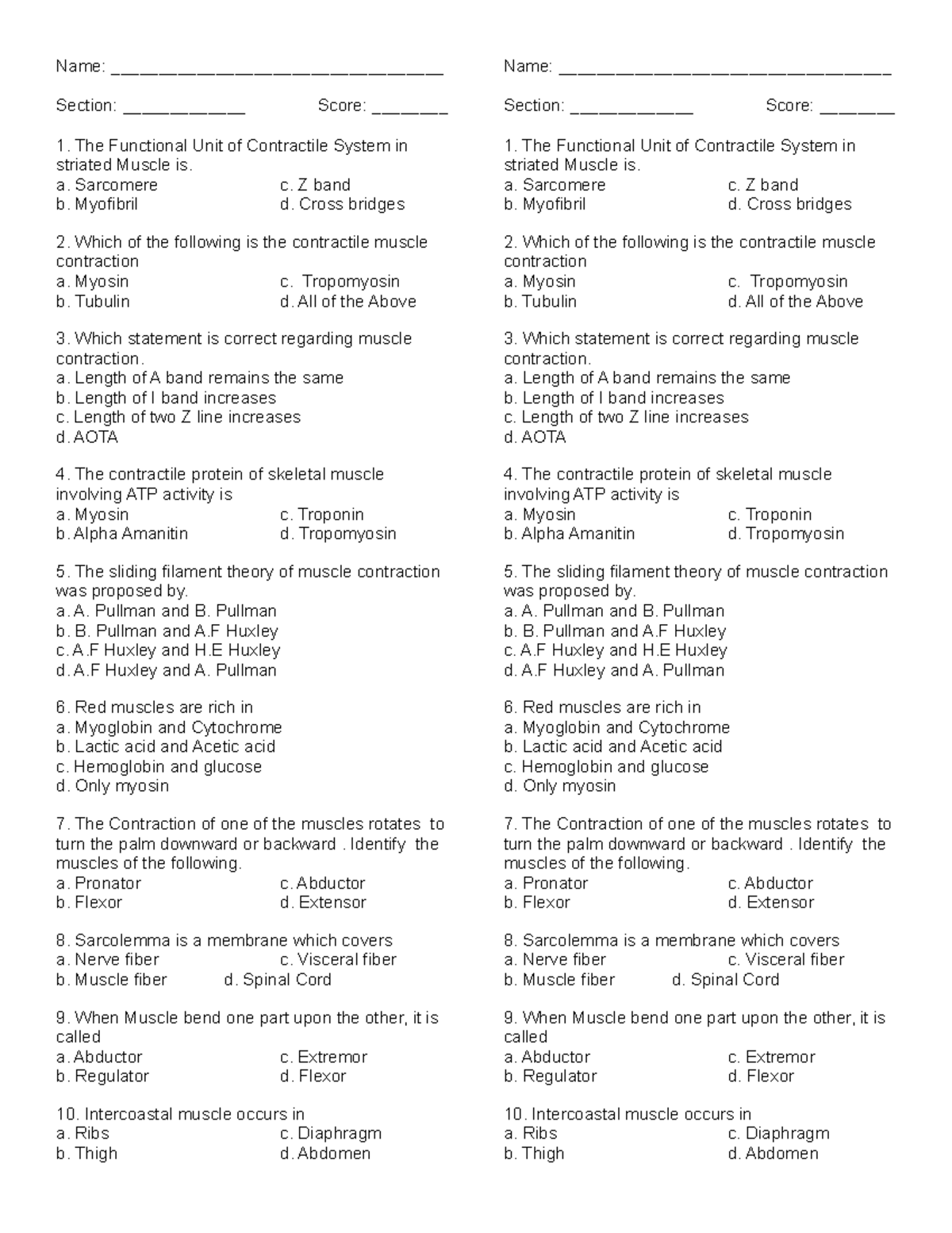 Quiz on Muscular System - Anatomy & Physiology Review - Studocu