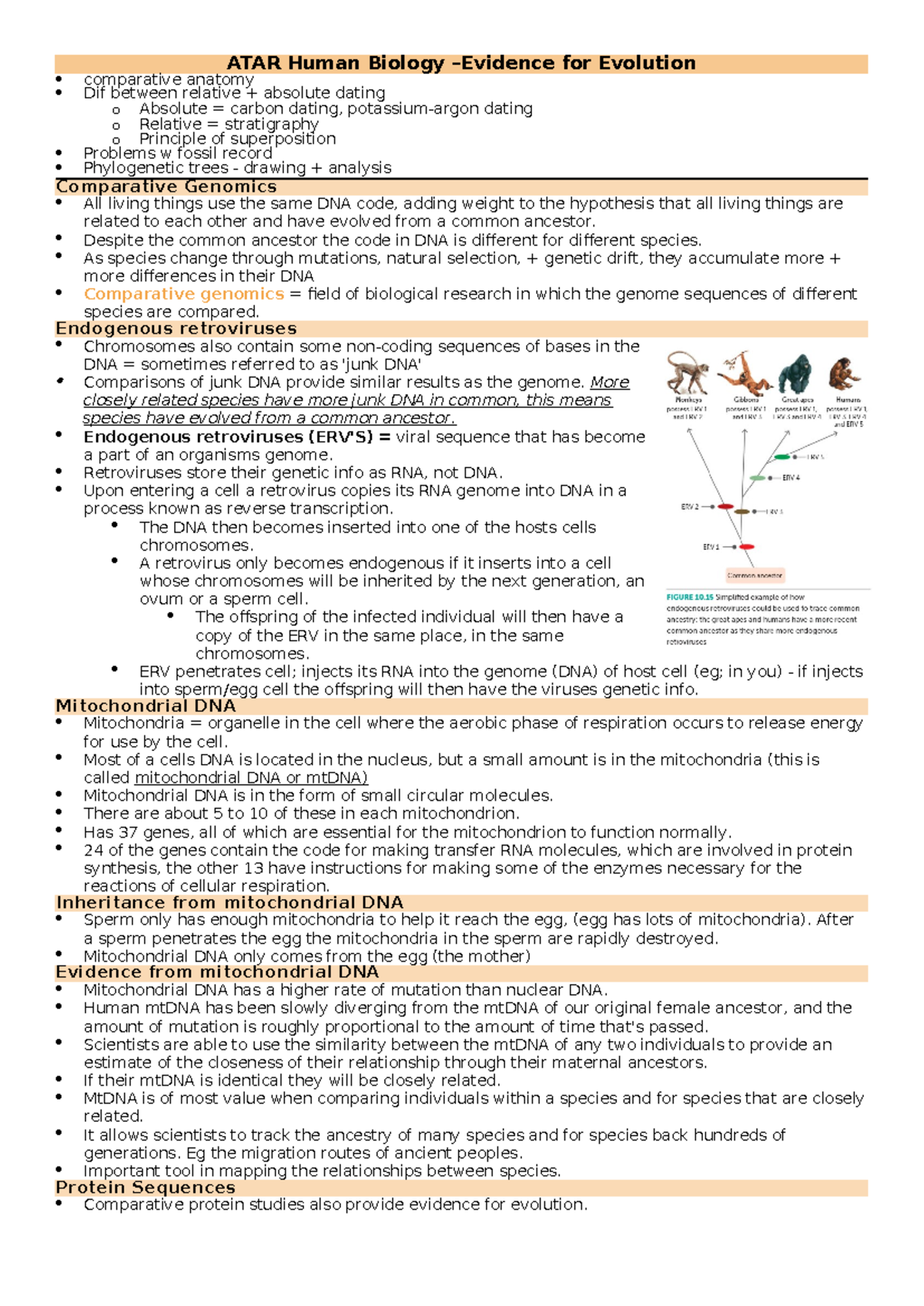 Yr12 ATAR Human Biology: Evidence for Evolution Notes Revision - Studocu