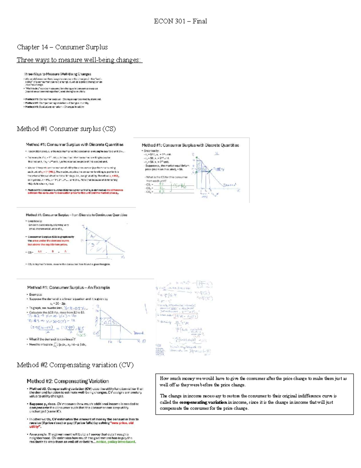 ECON 301 Final Study Guide: Consumer Surplus and Cost Curves Analysis ...
