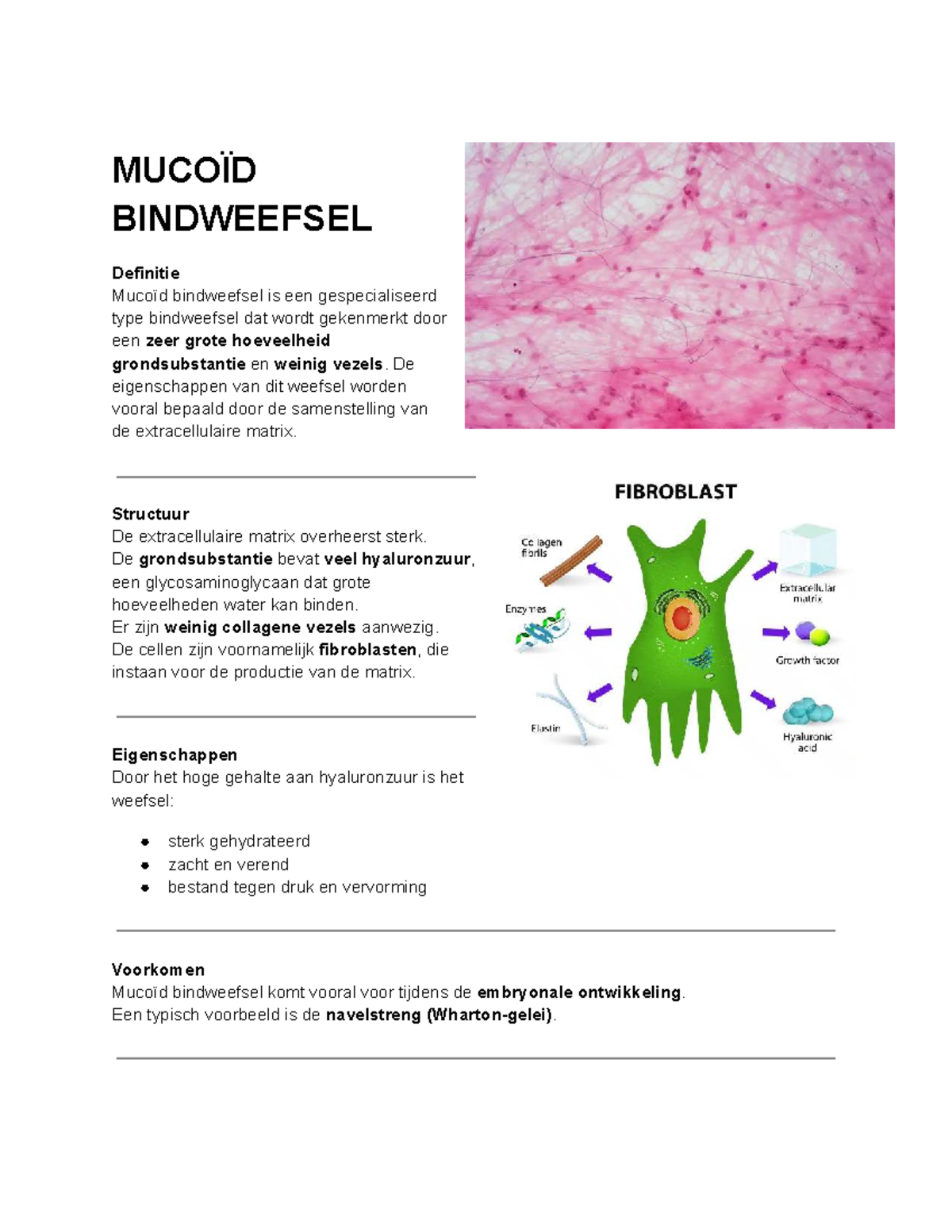 MUCO 101: Mucoïd Bindweefsel en zijn Eigenschappen - Studocu