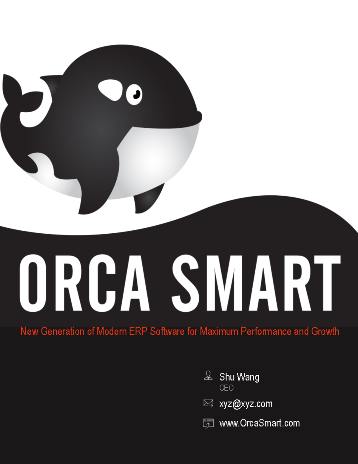 Orca Smart - Comprehensive Business Plan for ERP Software Solutions ...