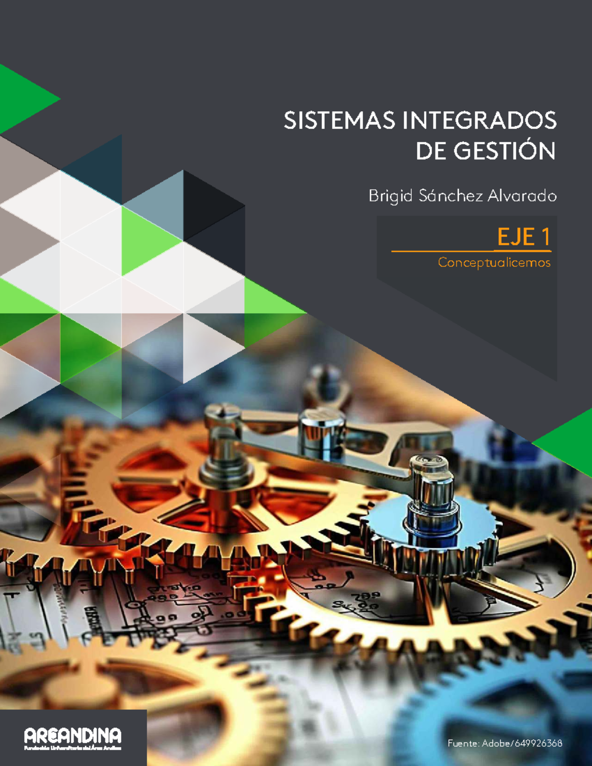 Sistemas Integrados de Gestión: EJE 1 Conceptualización y Mejora ...