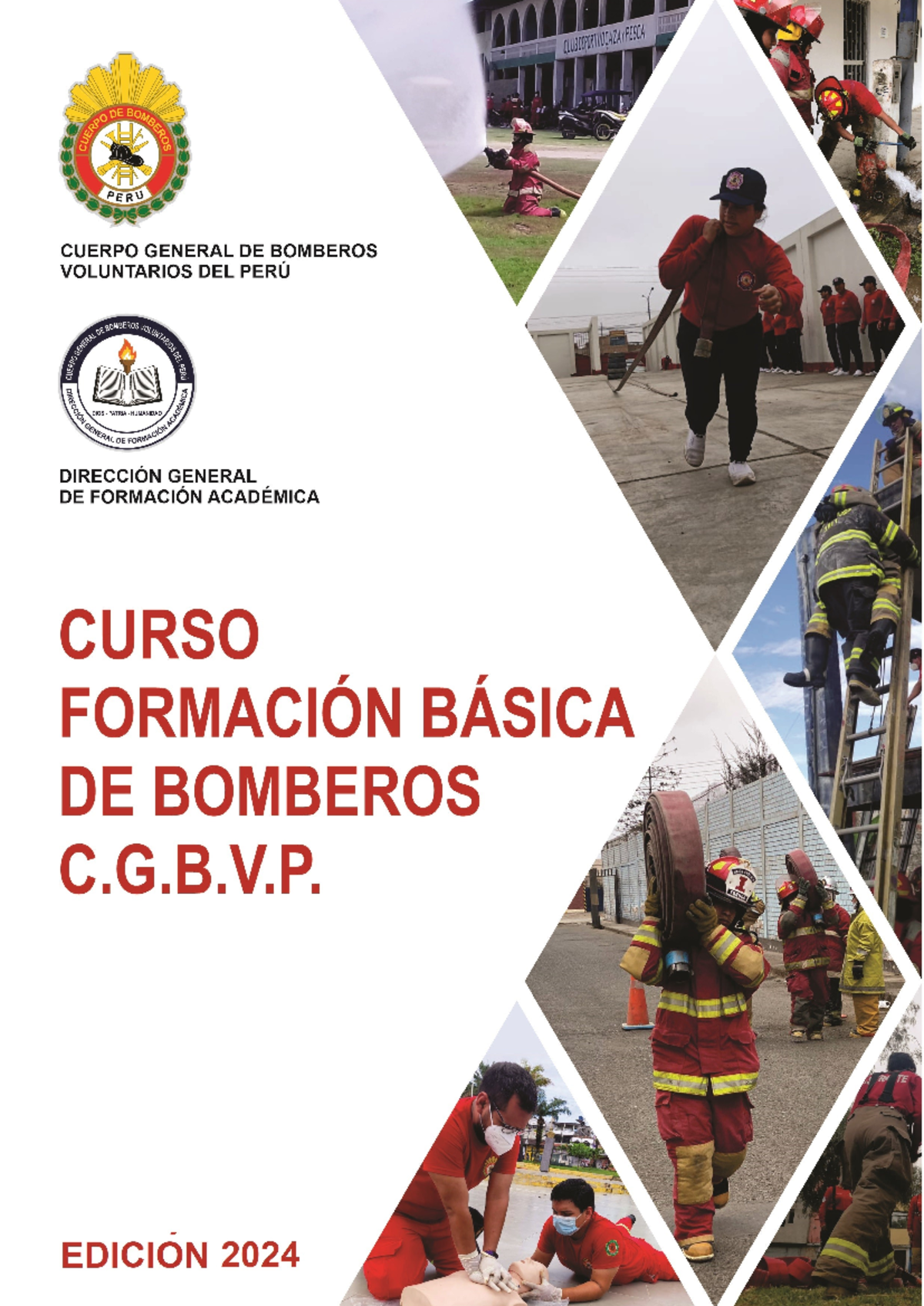 CFBB 2024: Manual de Participante del Curso de Formación Básica de ...