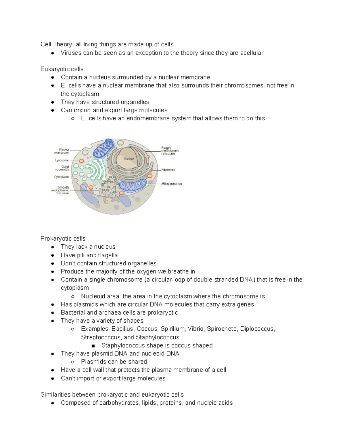 Microbial Cell Biology: Prokaryotic & Eukaryotic Structures (BIO 101 ...