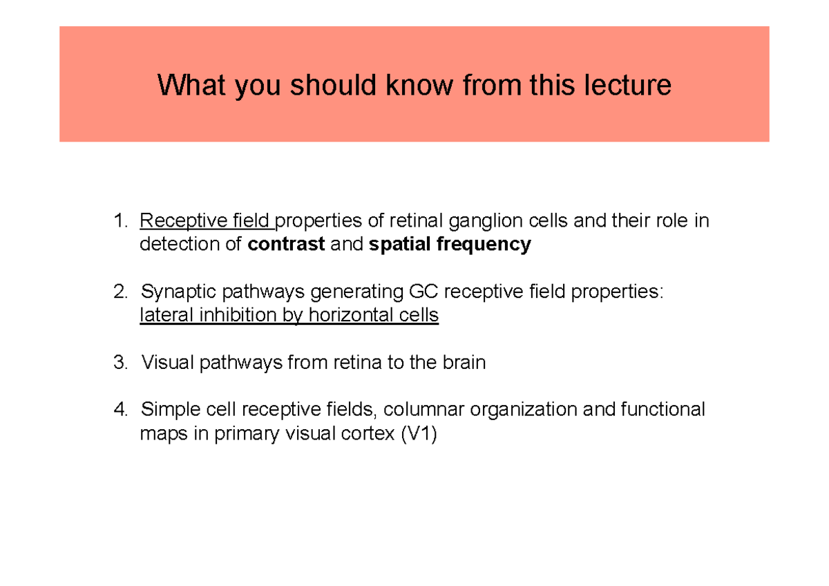 Lecture on Retinal Ganglion Cells and Visual Pathways - Studocu