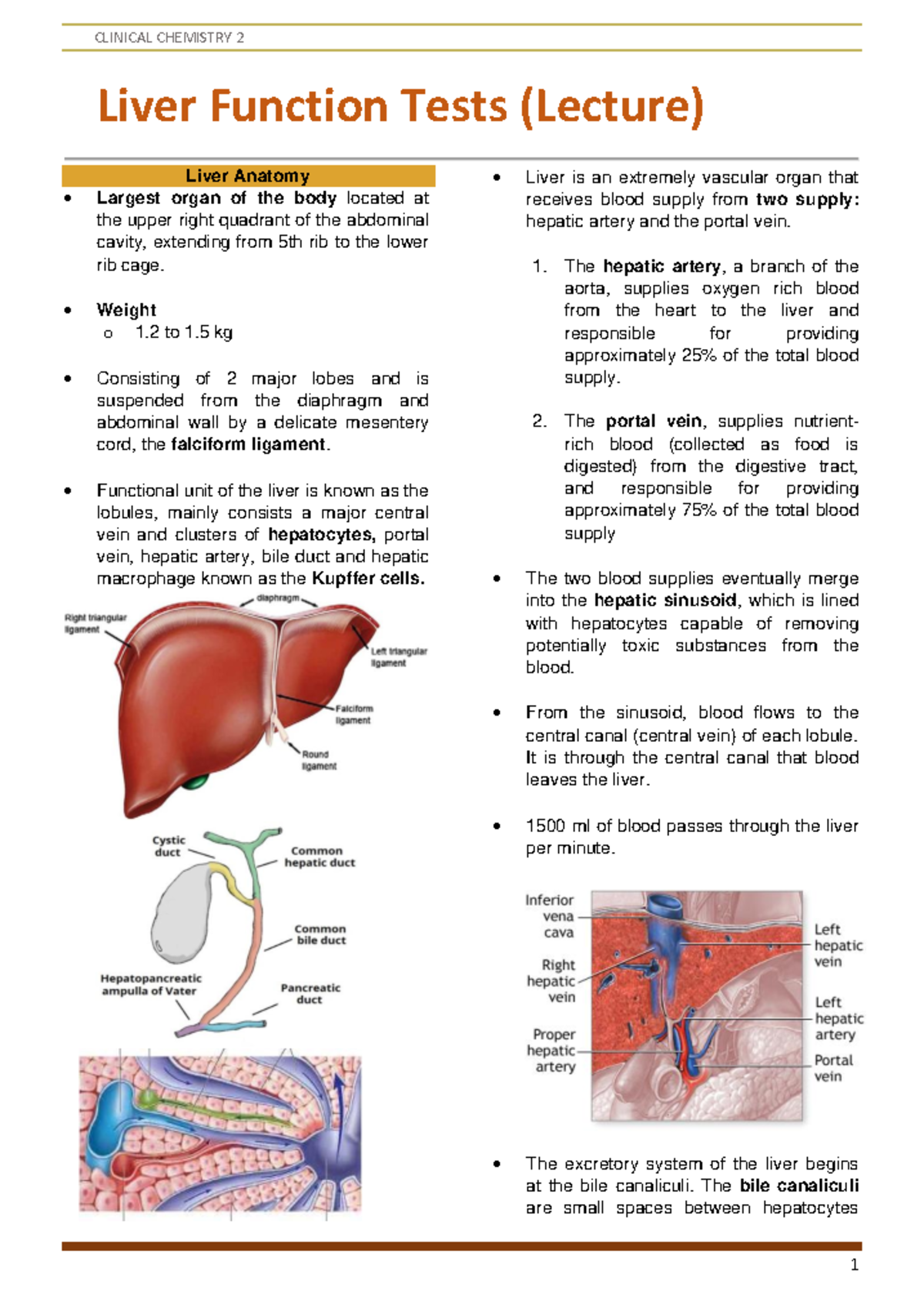 CC2 LEC 1 - Liver Function Tests and Anatomy Overview - Studocu