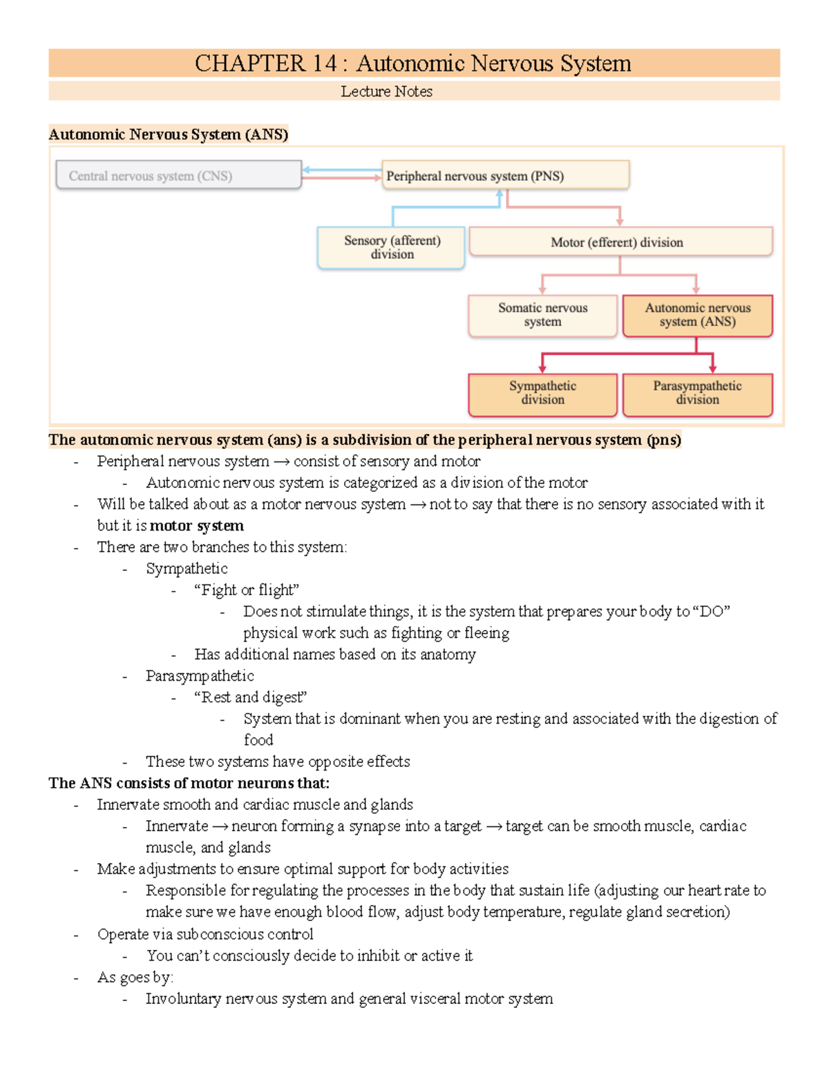 EXSC 224 Exam Two Lecture Notes - CHAPTER 14 : Autonomic Nervous System ...