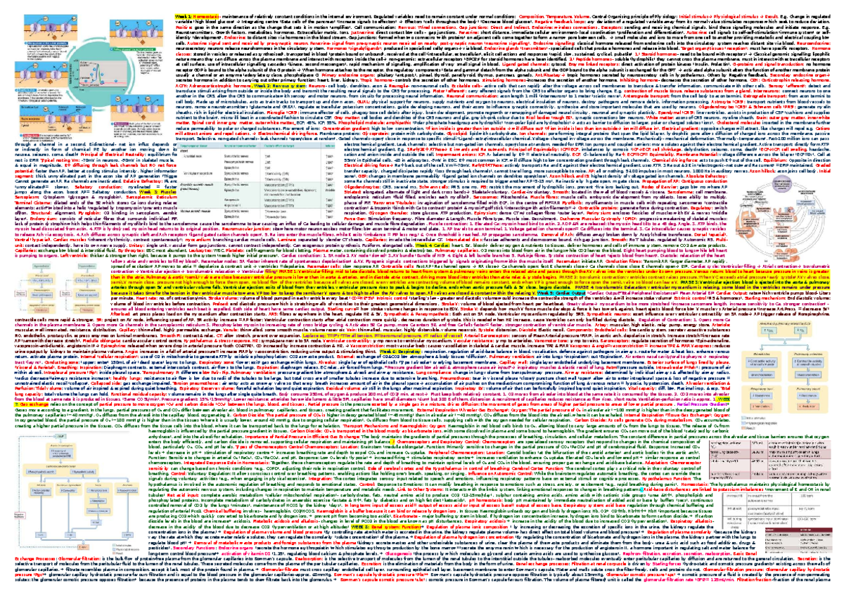 BIOL 101: Final Exam Cheat Sheet on Physiology and Immunology - Studocu