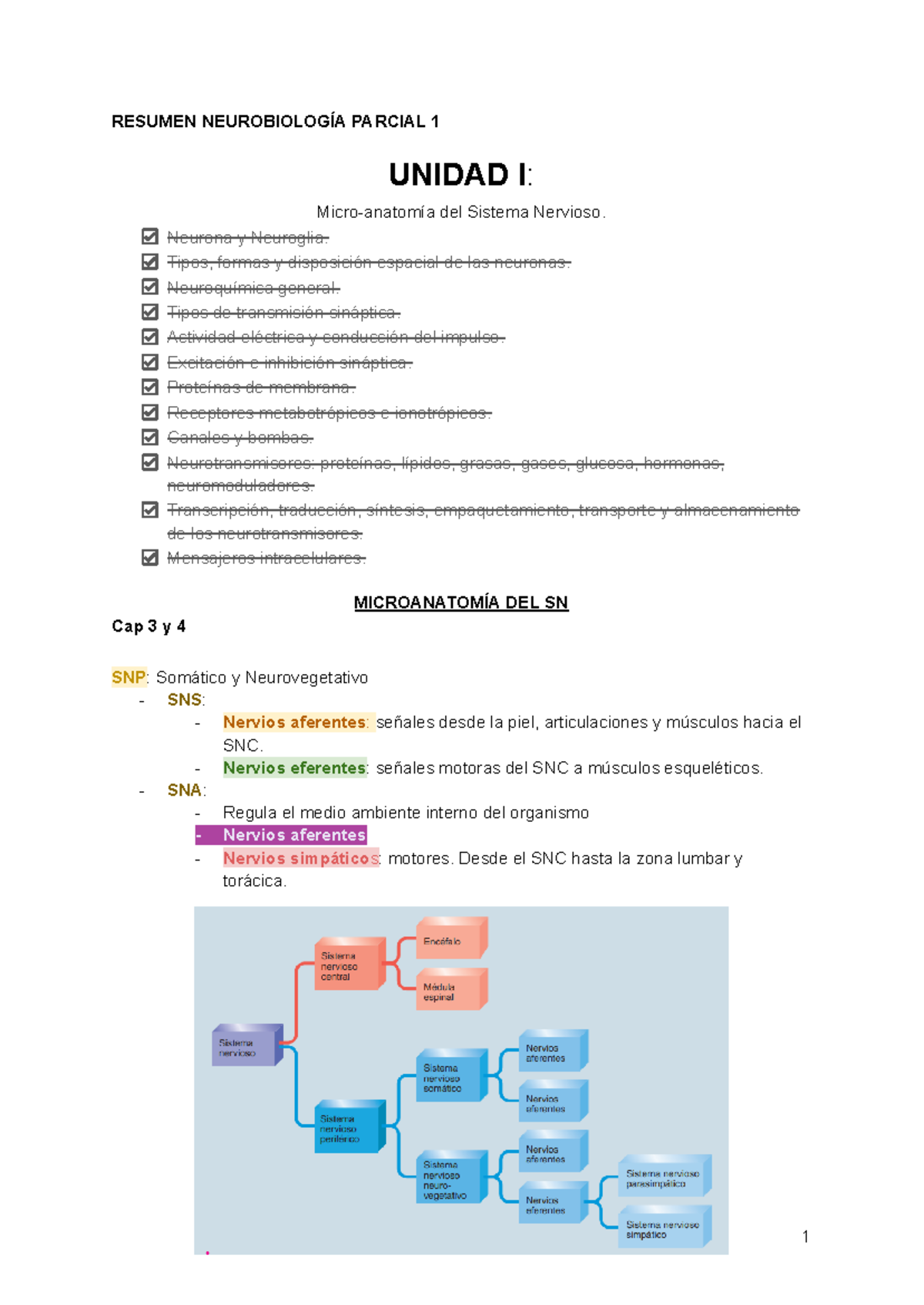 Resumen NeurobiologíA Parcial 1 - RESUMEN NEUROBIOLOGÍA PARCIAL 1 ...