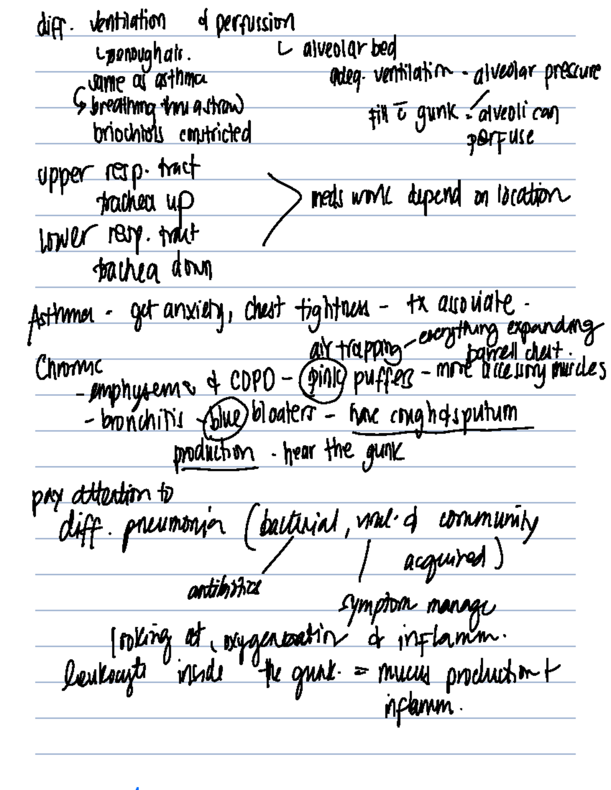 Asthma & COPD Management: Ventilation, Meds, and Treatments Notes - Studocu