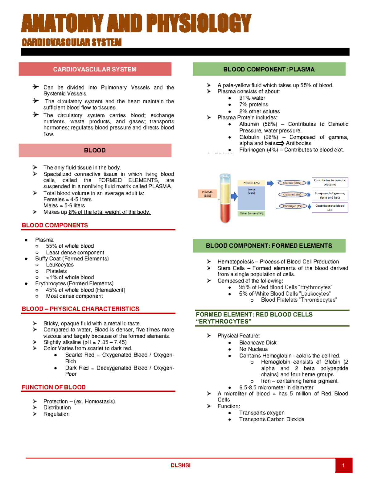 Anatomy AND Physiology Cardiovascular System - ANATOMY AND PHYSIOLOGY ...