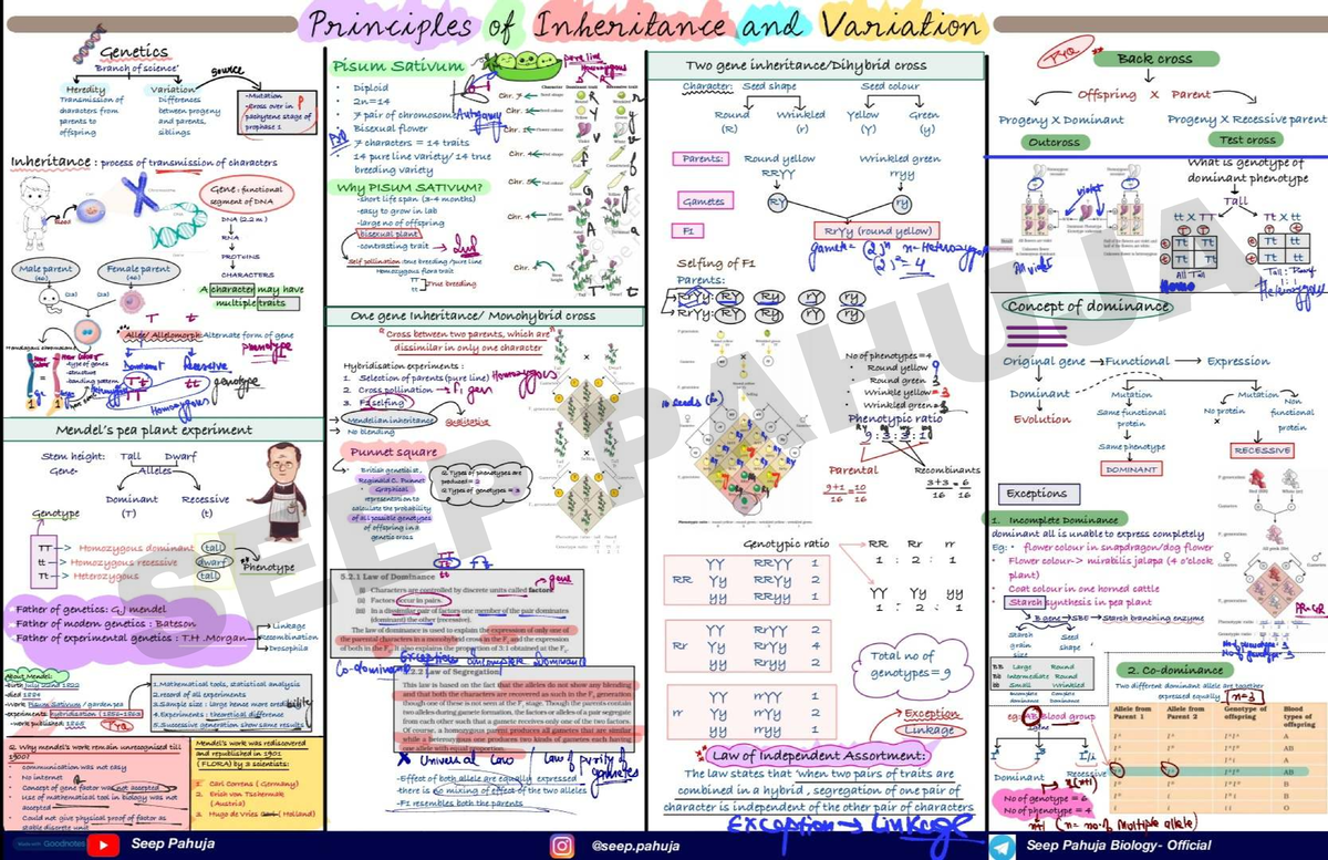 Genetics MIND MAP BY SEEP Pahuja 20250316 140045 0000 - Neet medical ...