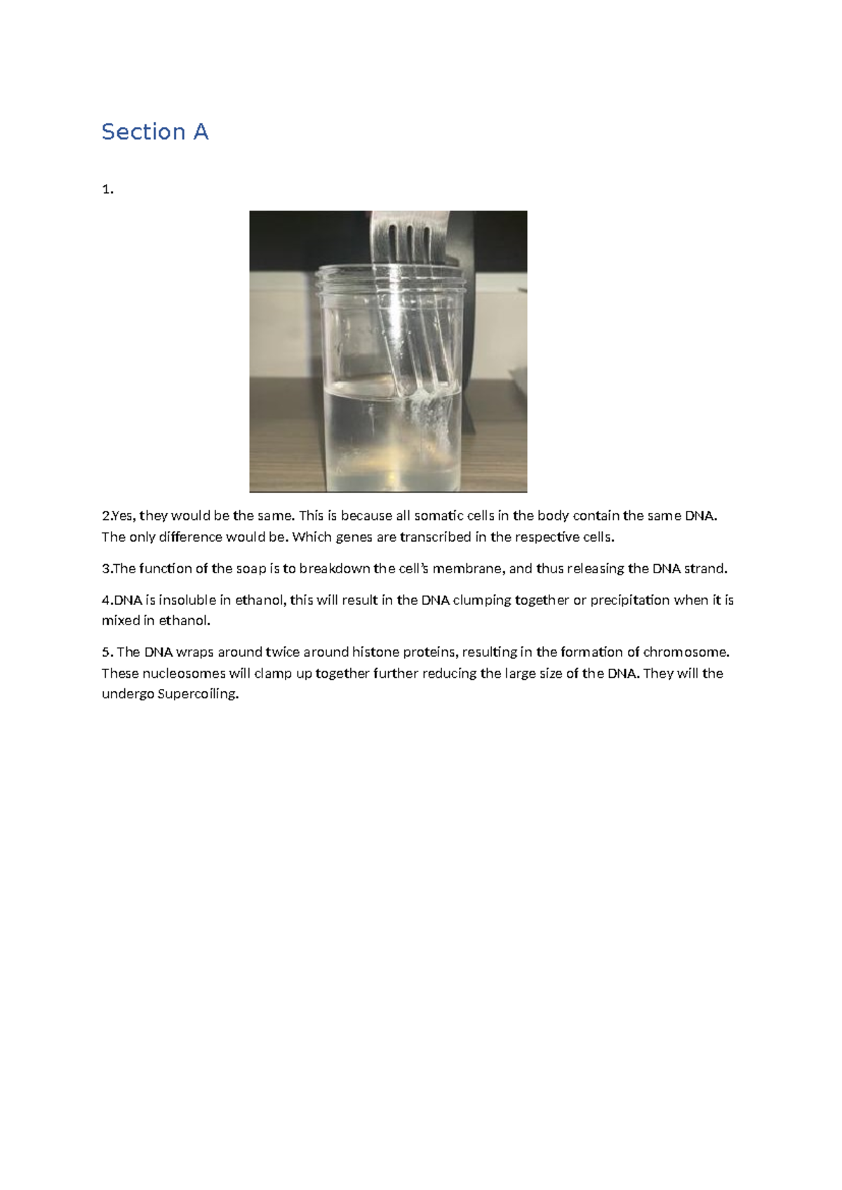 Mini project on DNA structure and function in genetics - Studocu