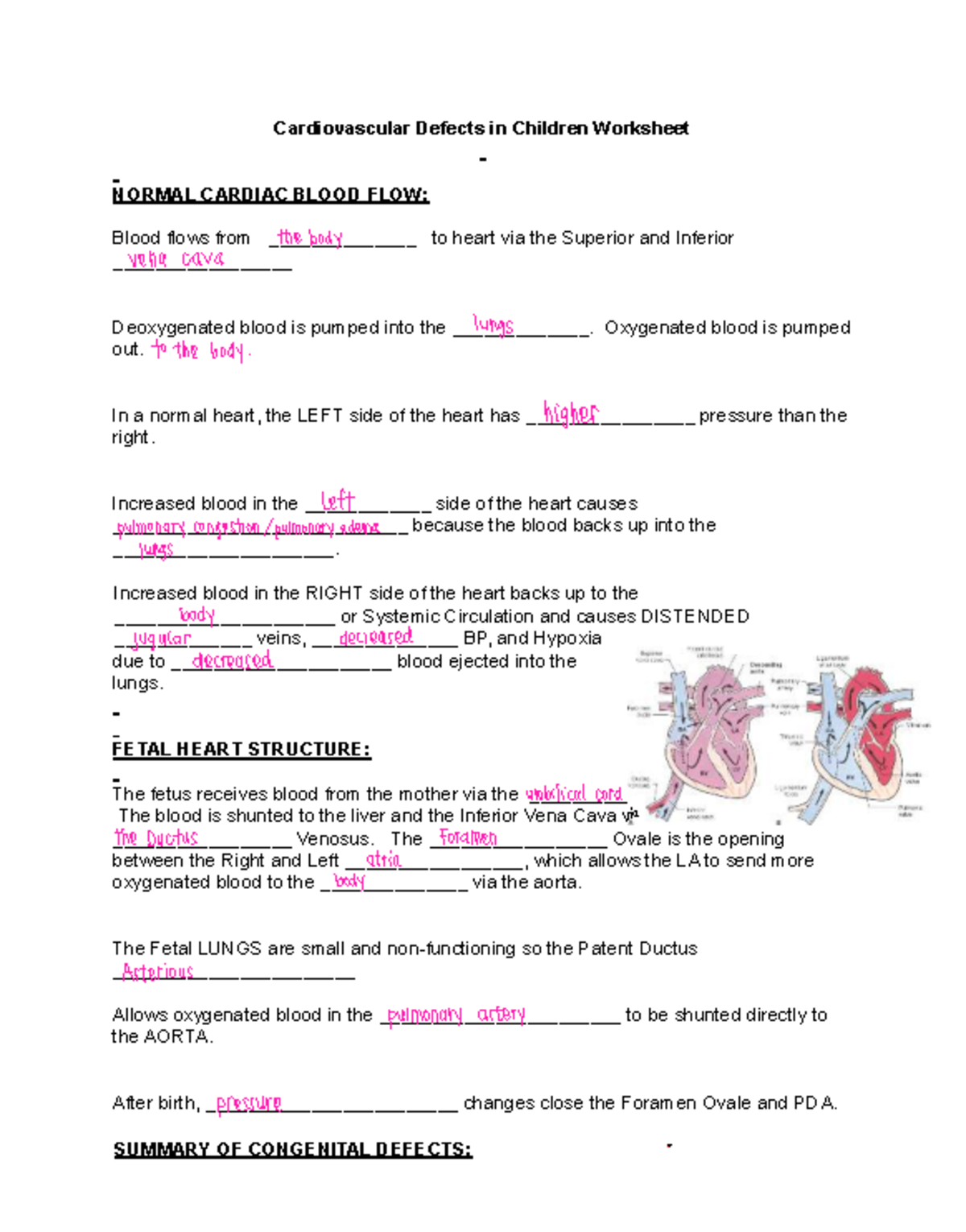 Cardiovascular Defects in Children: Cardiac Worksheet - Studocu