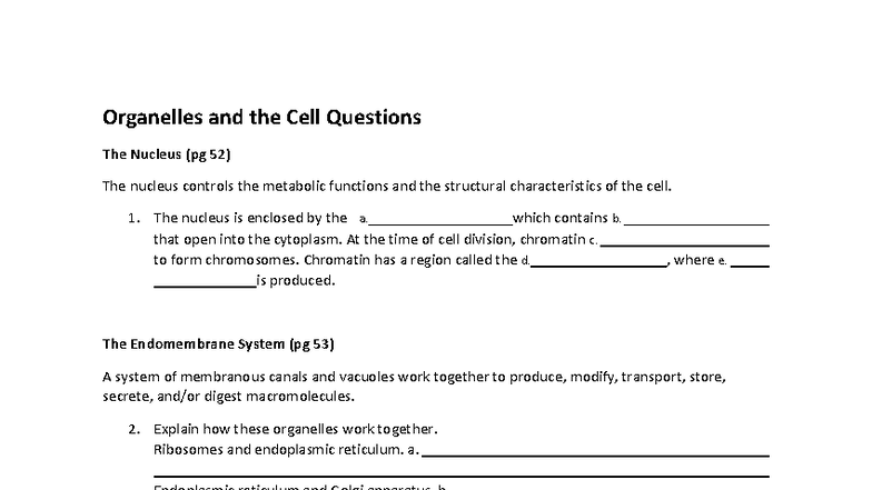 Organelles and the Cell: Key Questions for Exam Review (BIO101) - Studocu