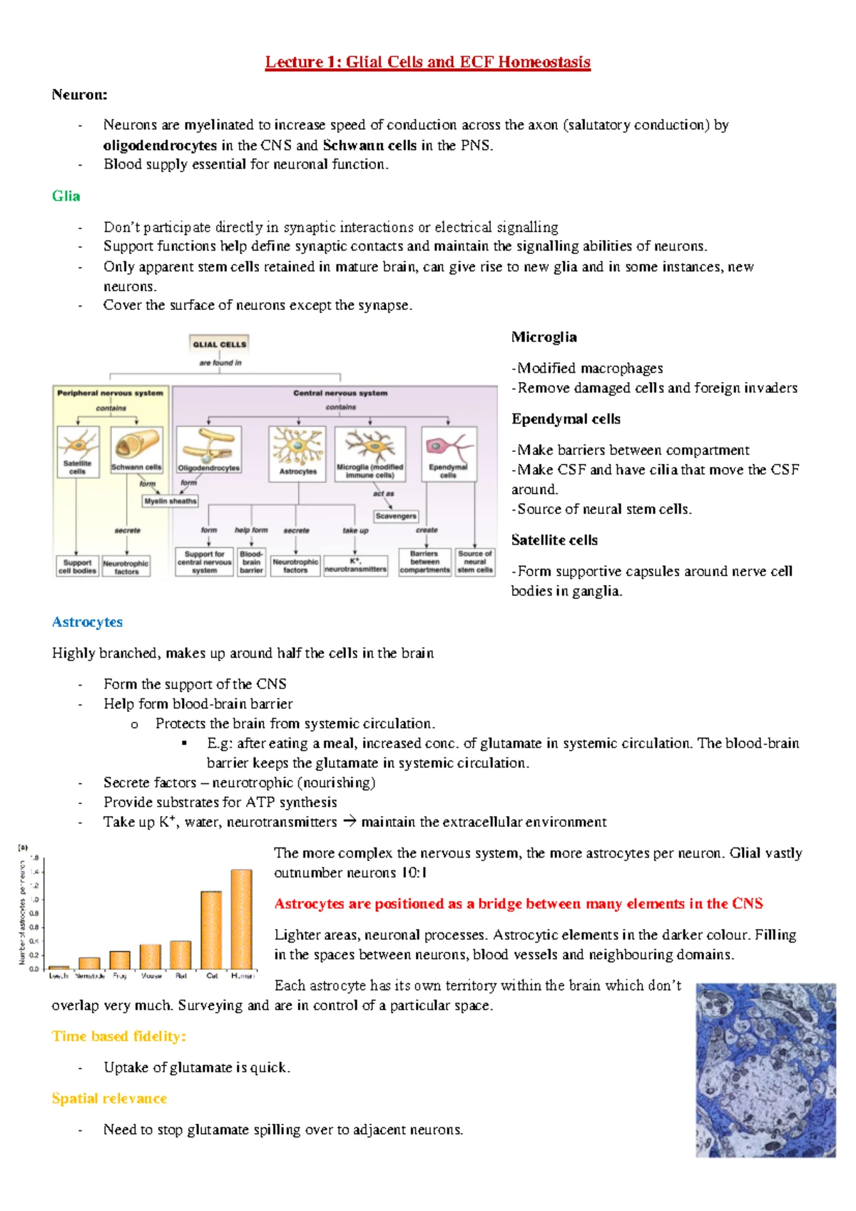 Week 1 NEUR30002 Lecture Notes on Neuronal Structure and Function - Studocu