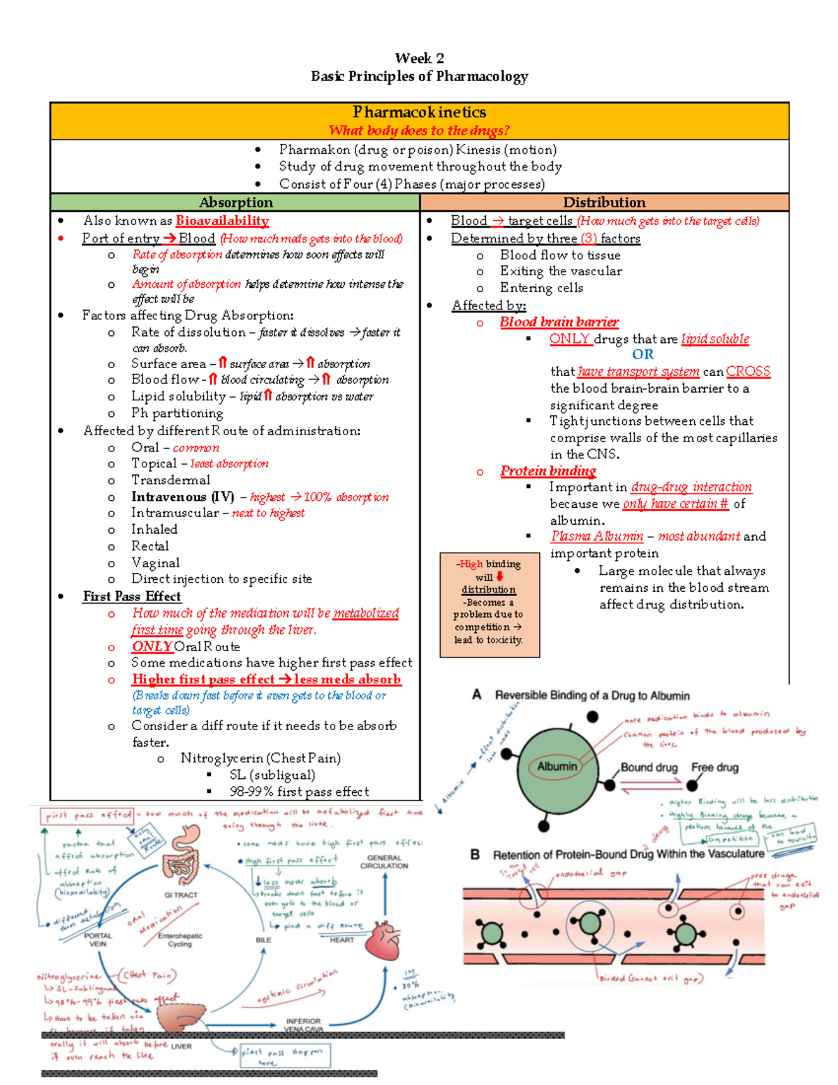 Week 2 Pharmacology Principles: Pharmacokinetics Overview - Studocu