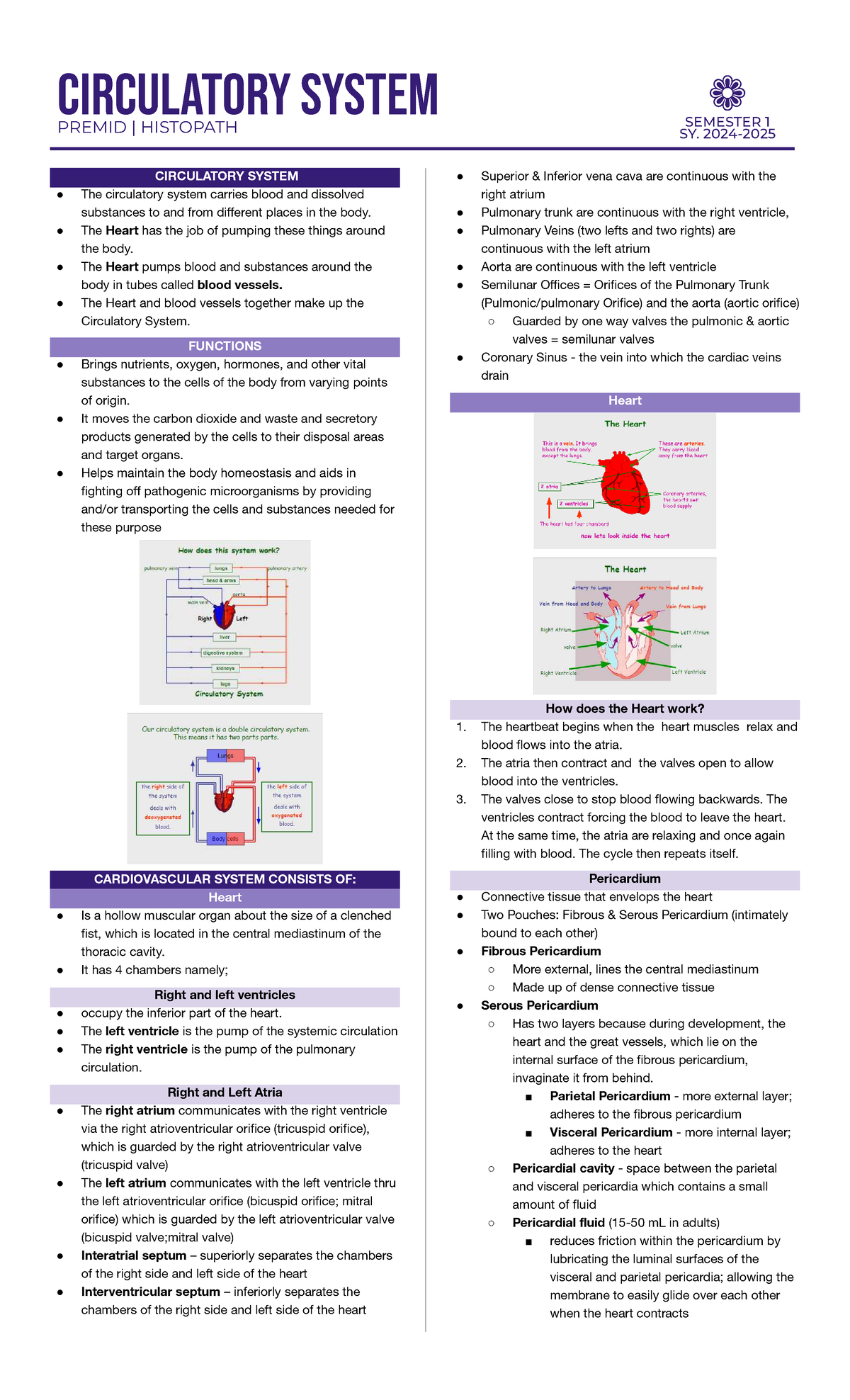 CIRCULATORY SYSTEM SEMESTER 1 SY: HISTOPATHOLOGY NOTES - Studocu