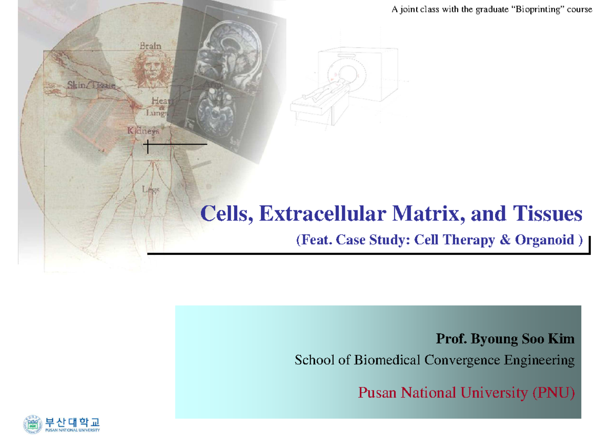 Cells, Matrix, and Tissues (BME 101): Insights on Cell Therapy ...