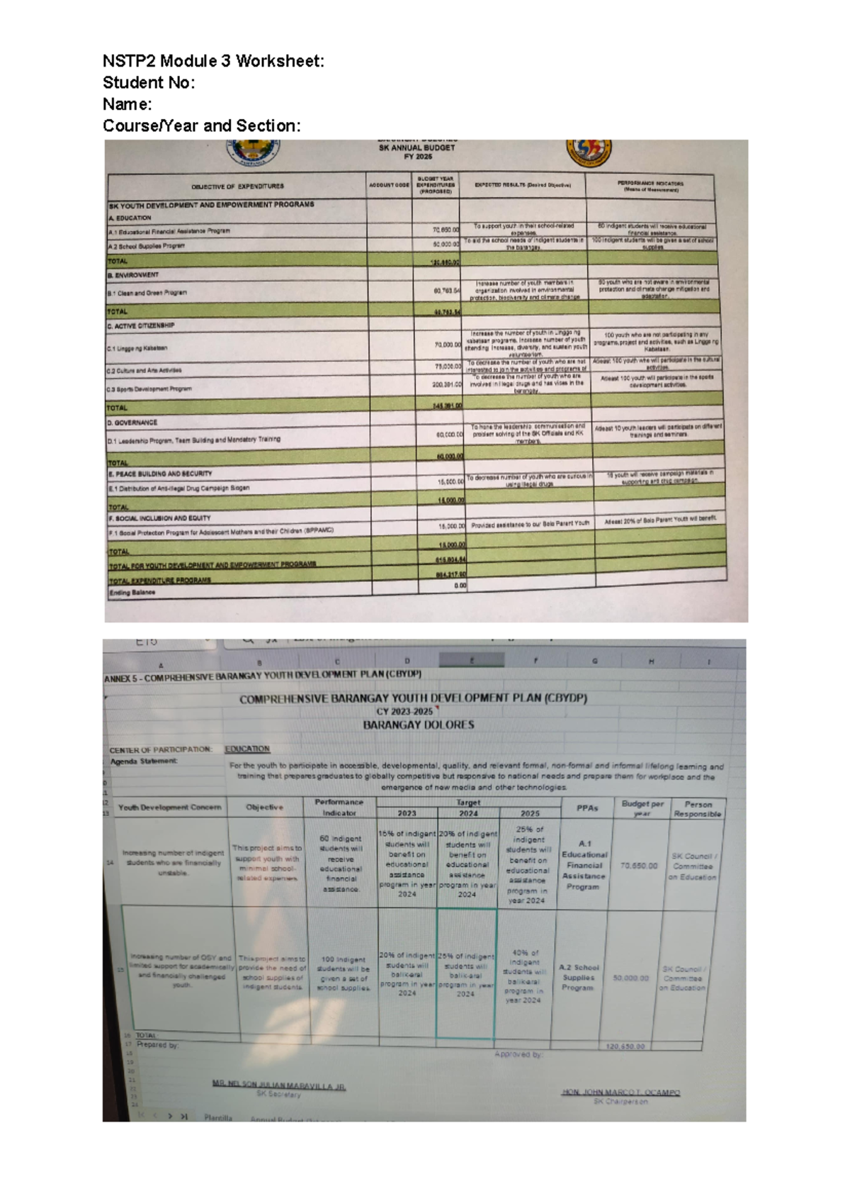 NSTP2 Module 3 Worksheet: SK Youth Development Budget Plan 2025 - Studocu