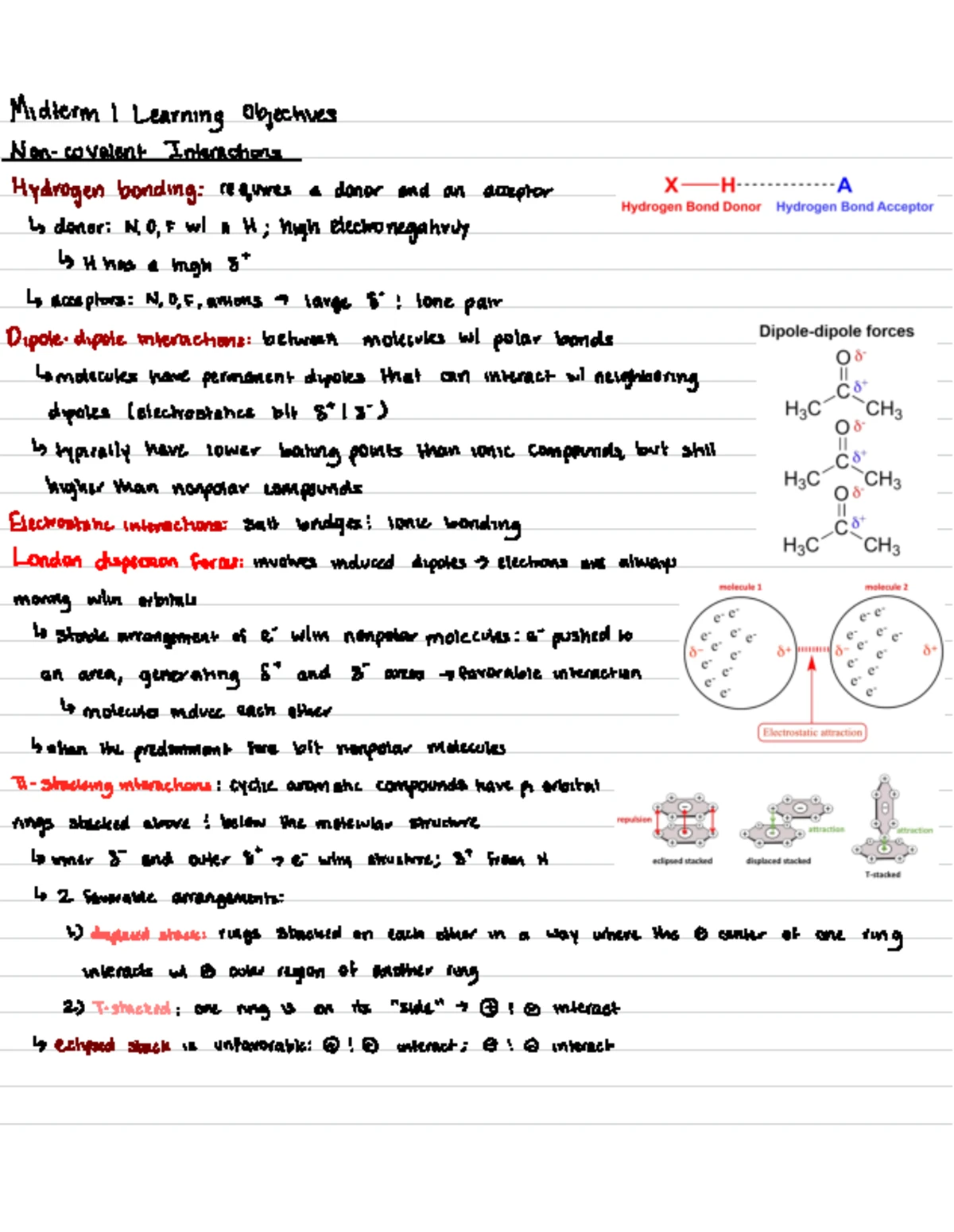 CHEM 153A Midterm 2 Learning Objectives: Carbohydrates Overview - Studocu