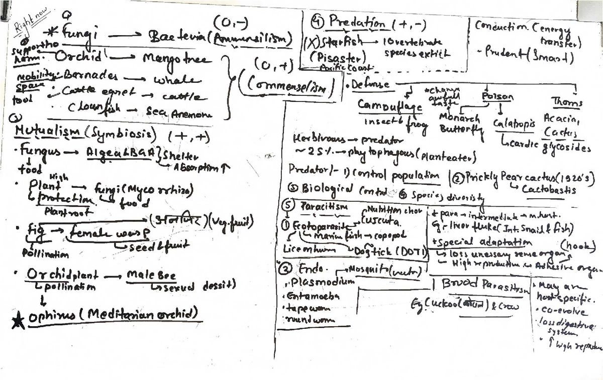 Ecological Interactions: Predation, Mutualism, and Parasitism ...