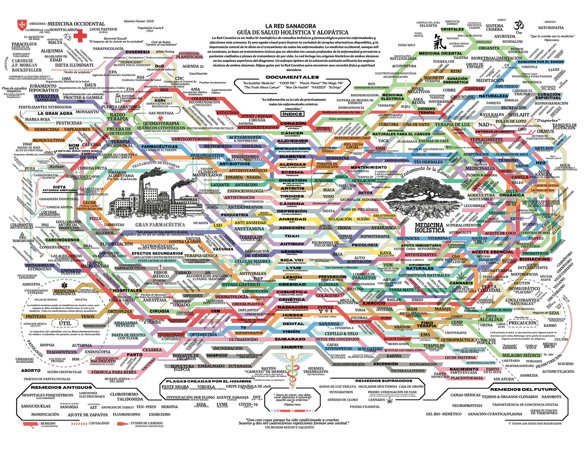 Red Curativa: Guía de Salud Holística y Alopática (Edición Español) - Document Preview
