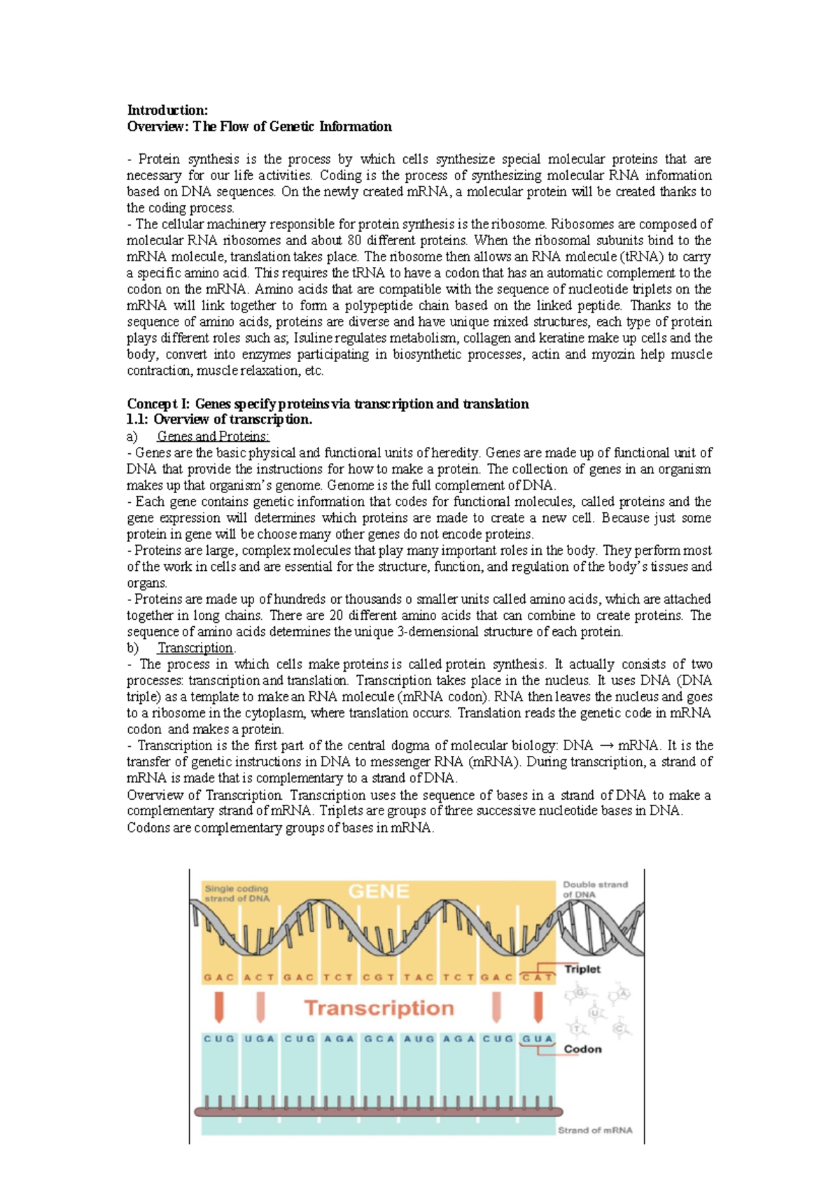 Biology - Introduction: Overview: The Flow of Genetic Information ...