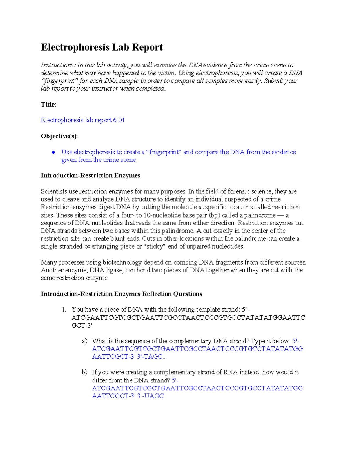 Copy of 3.05 Cellular Respiration Lab Report pt - 3 Cellular ...