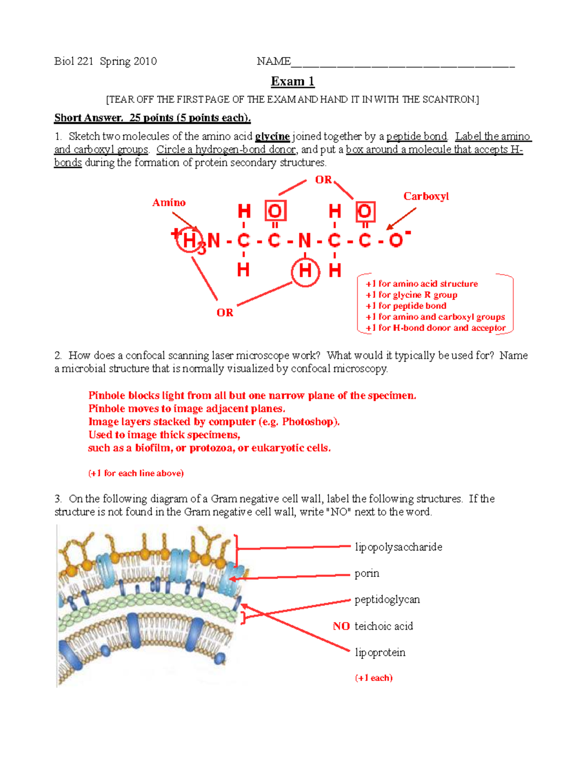 Biol 221 Spring 2010 Exam 1 Study Guide and Short Answer Review - Studocu