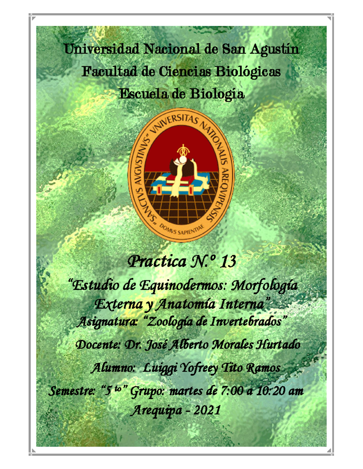 Práctica 13: Morfología y Anatomía de Equinodermos en Zoología VI - Document Preview