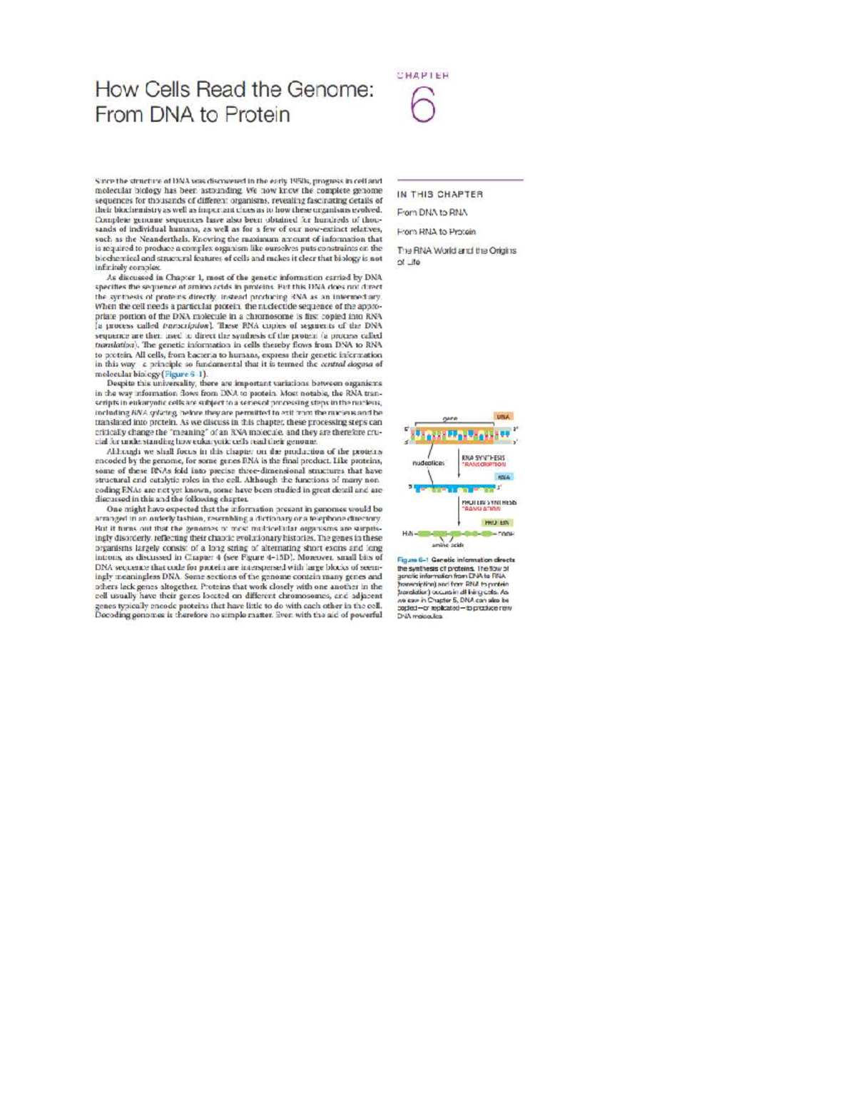 CHAPTER 6: How Cells Read the Genome - From DNA to Protein - Studocu