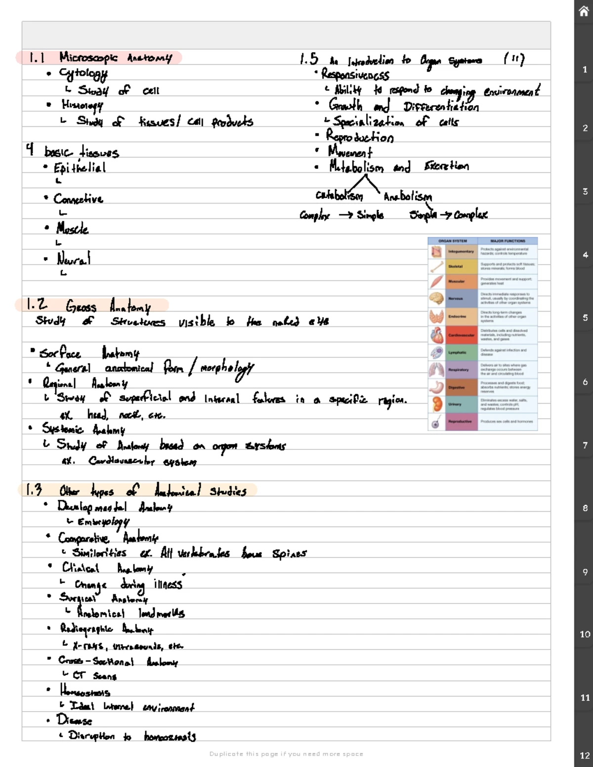 Skeletal System Anatomy - Week 2 Identification Guide - Studocu