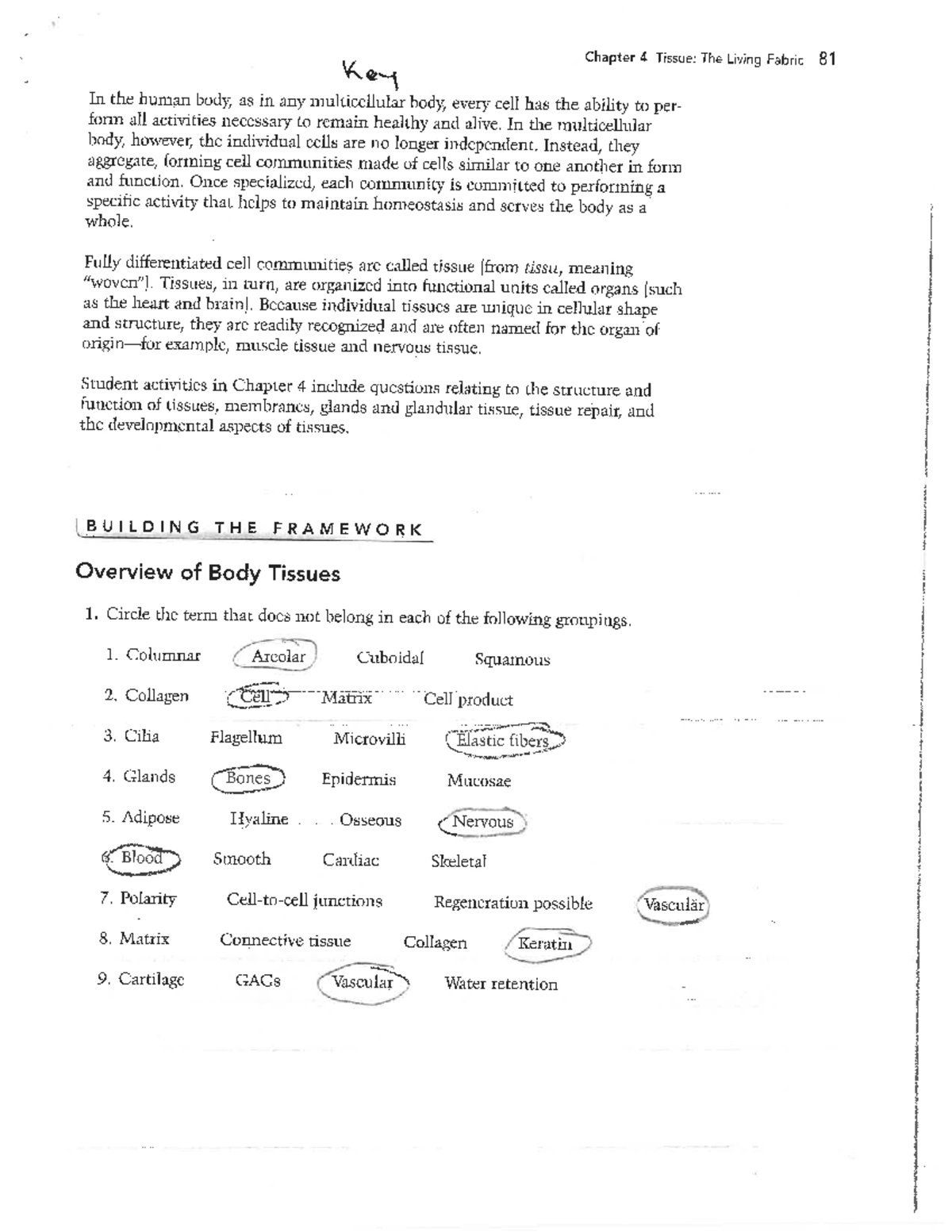 Chapter 4: Tissue - The Living Fabric Study Guide (A&P 101) - Studocu