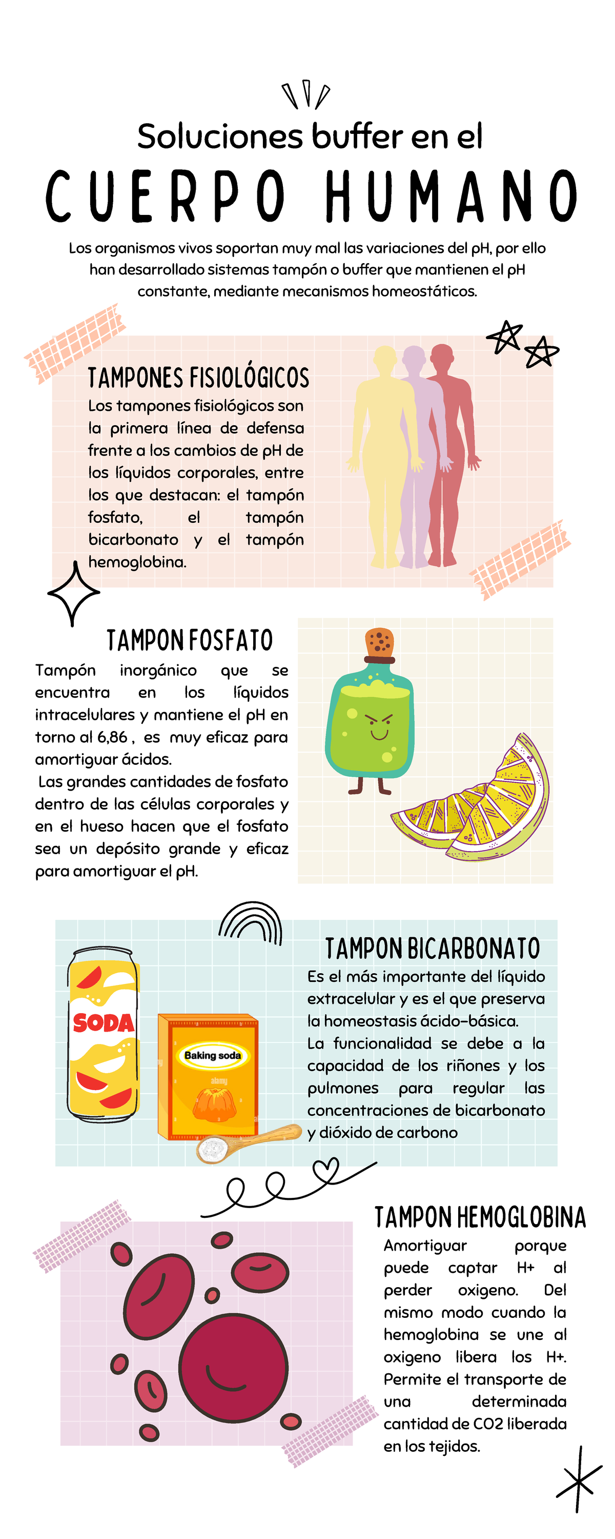 Soluciones Buffer: Tampones Fisiológicos y su Importancia - Studocu