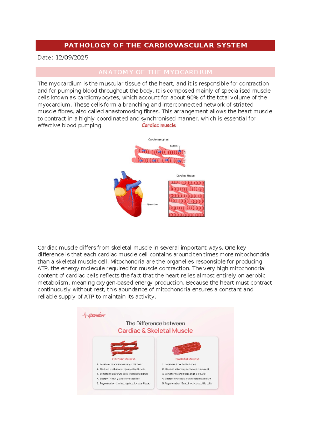 Pathology Lecture 9: Myocardium and Cardiovascular Disorders - Studocu