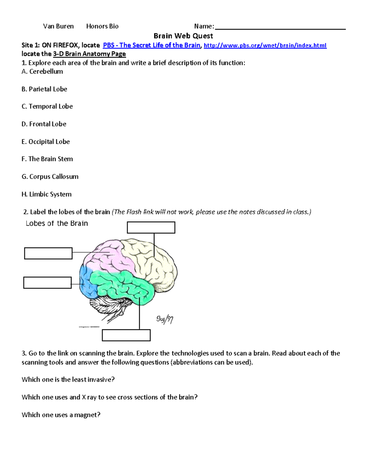 Brain Webquest-1: Exploring the Anatomy and Functions of the Brain ...