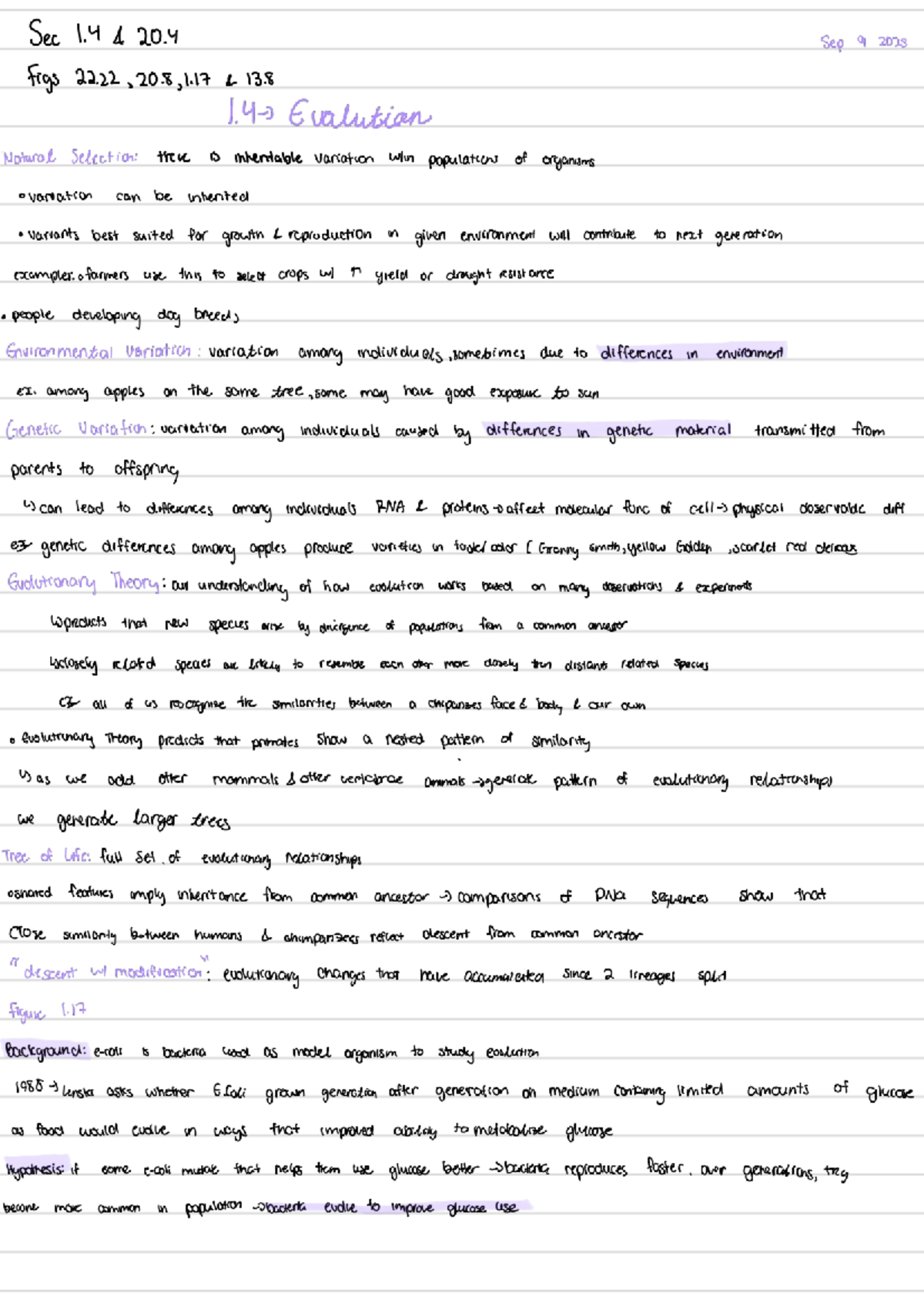 Natural Selection and Evolution: Key Concepts and Experiments (1.4 & 20 ...