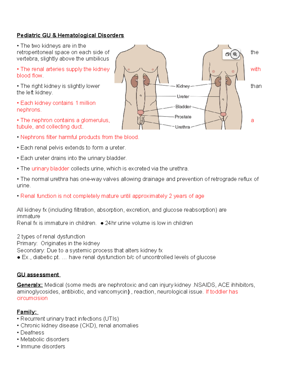 Pediatric GU & Hematological Disorders Overview (PEDS 101) - Studocu