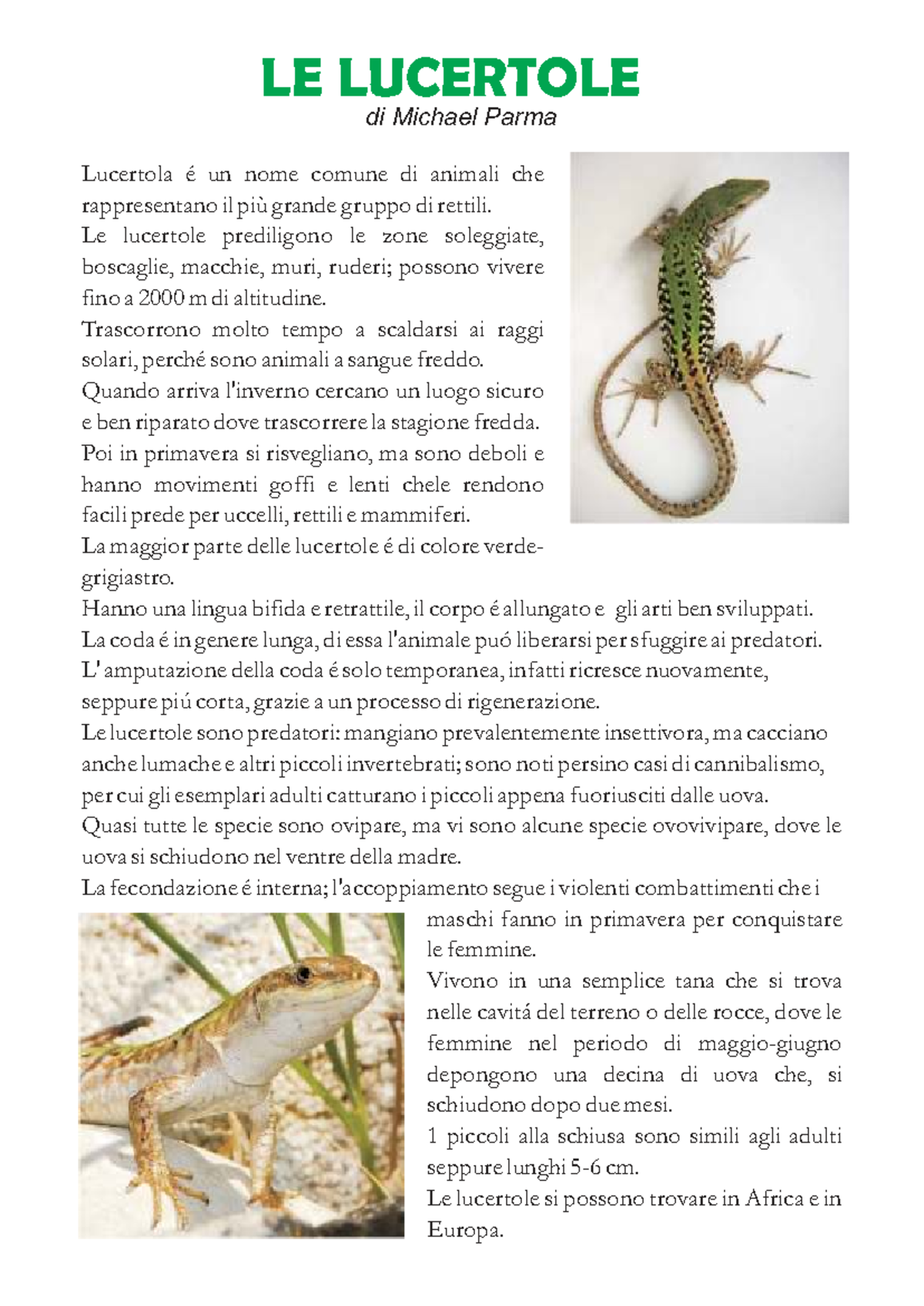 Lucertole: Caratteristiche e Comportamento degli Animali Reptili - Studocu